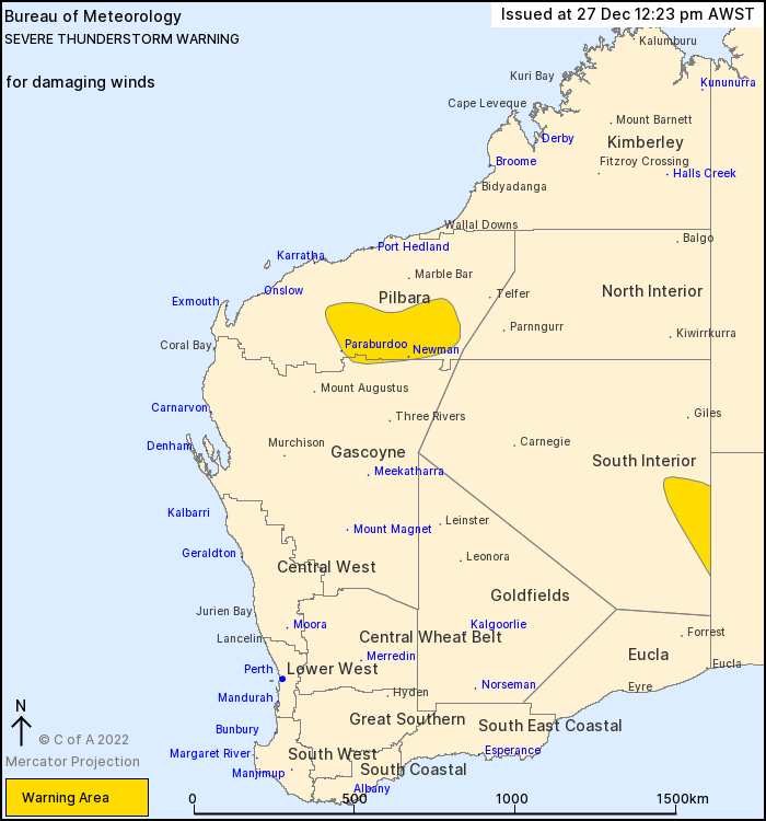WA Severe Thunderstorm Warning Damaging Winds Alert